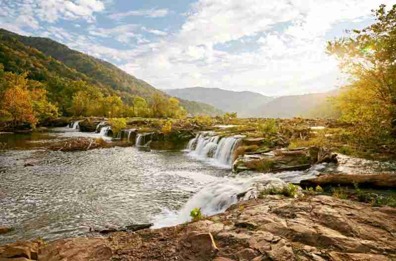 Catskills forest trail for Frum families