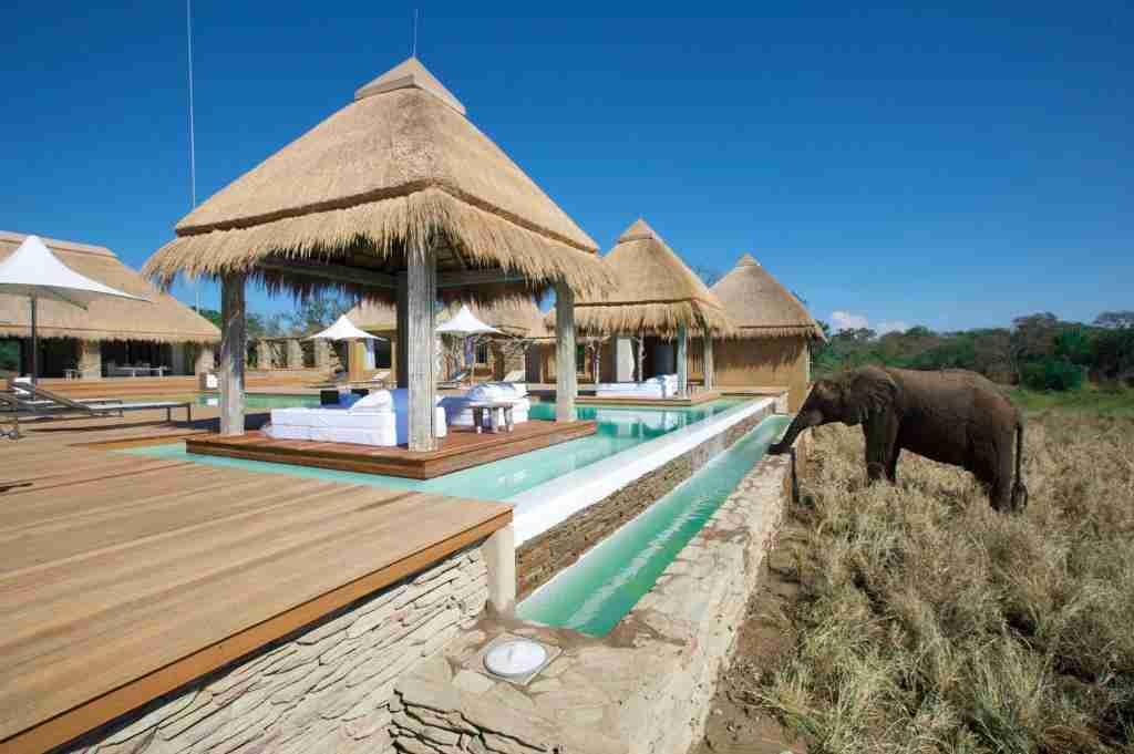 Kapama Private Game Reserve