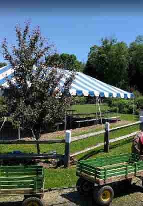 Alstede Farms