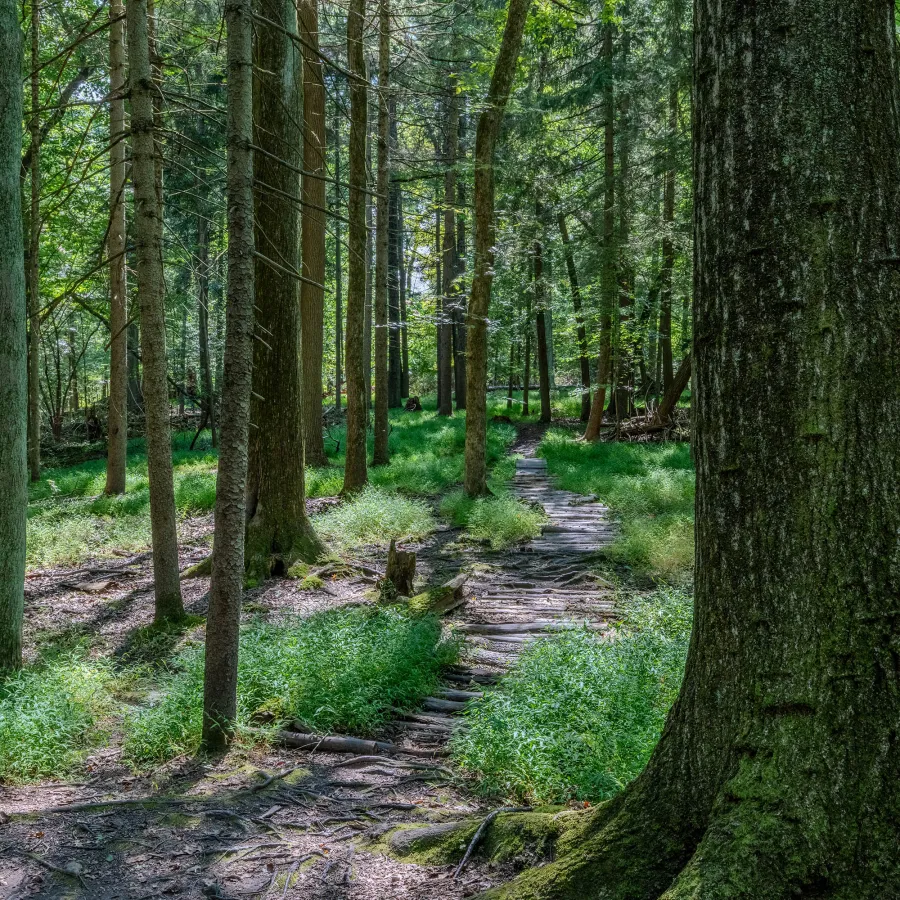 Blauvelt State Park