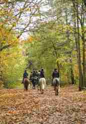 Braden Brook Stables