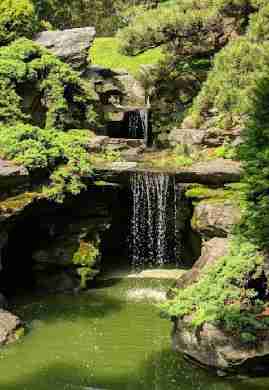Brookyn Botanic Gardens