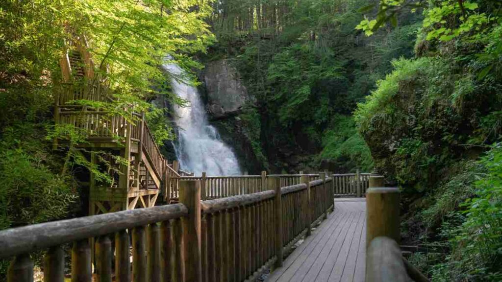 Bushkill Falls