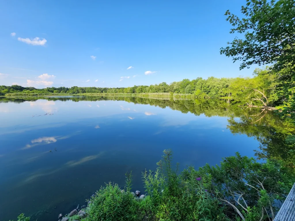 Celery Farm Nature Preserve