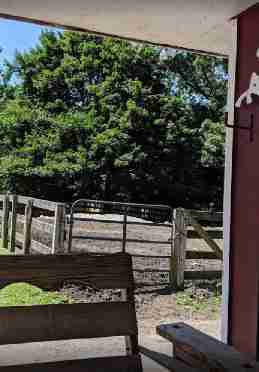 City Island Stable