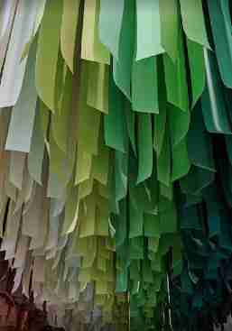 Color Factory