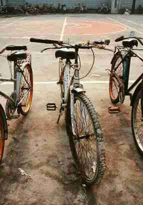 Ding Bike Rental