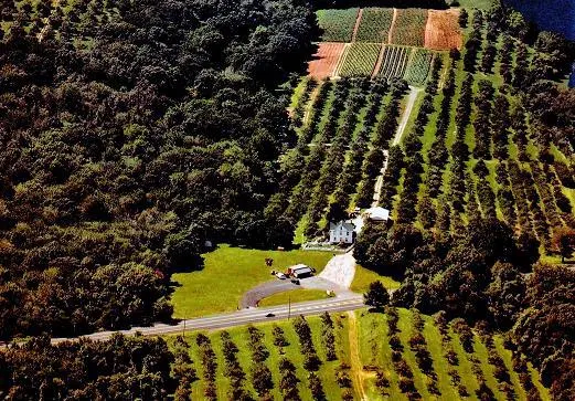 Dr. Davies Farm