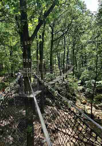 FLG X Adventure Course