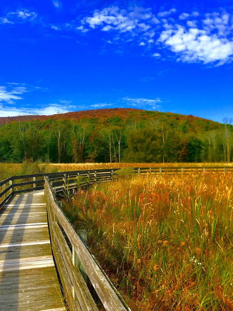 Goosepond Mountain State Park