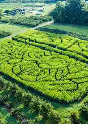 Hurds Family Farm