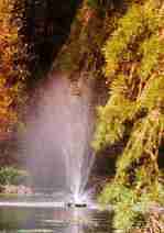 Laurelwood Arboretum