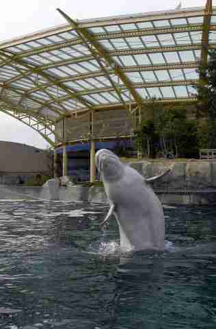 Mystic Aquarium