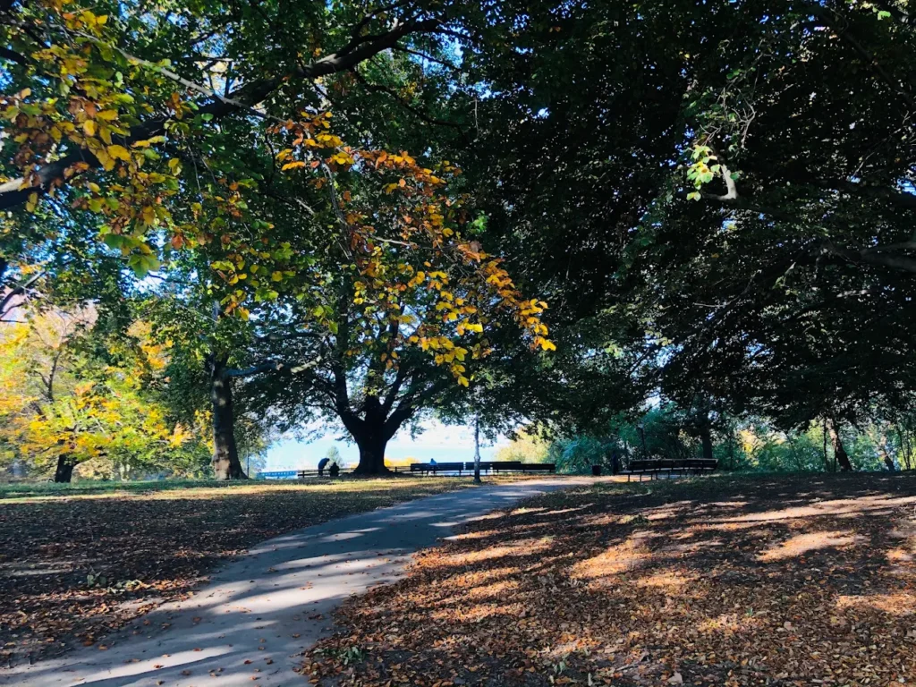 Owl's Head Park