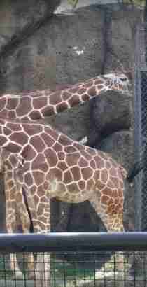 Philadelphia Zoo