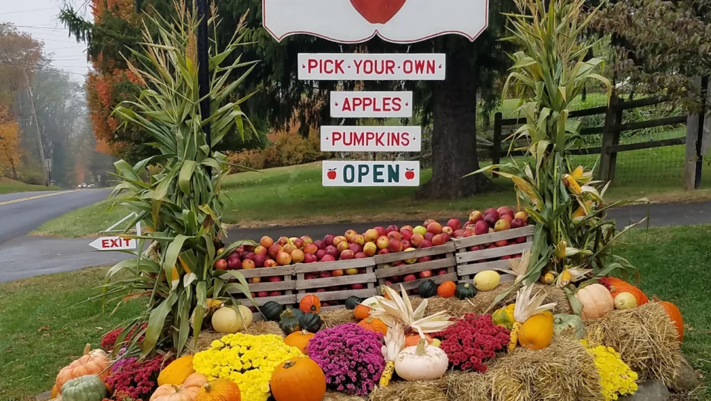 Riamede Farm