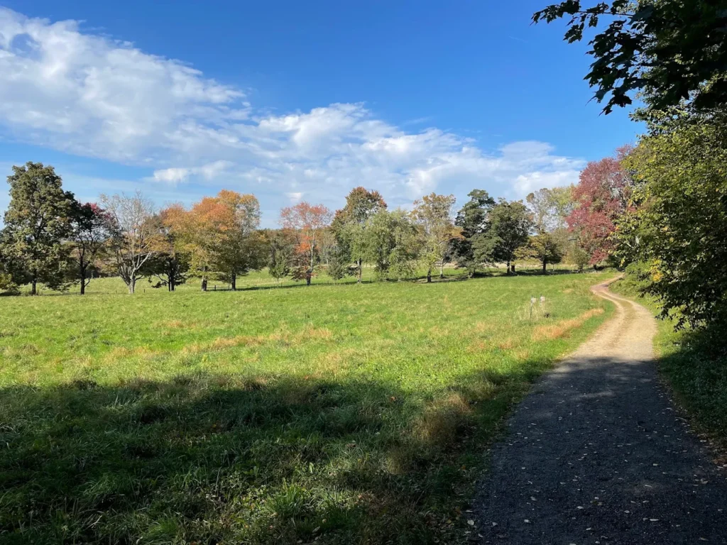 Rockefeller State Park Preserve