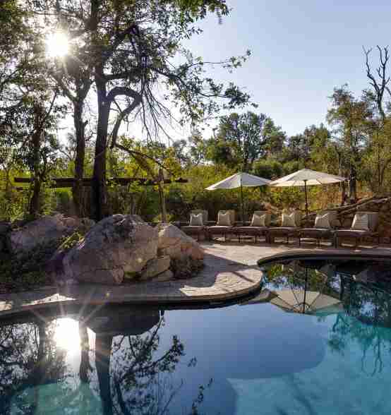 Sabi Sabi Little Bush Camp