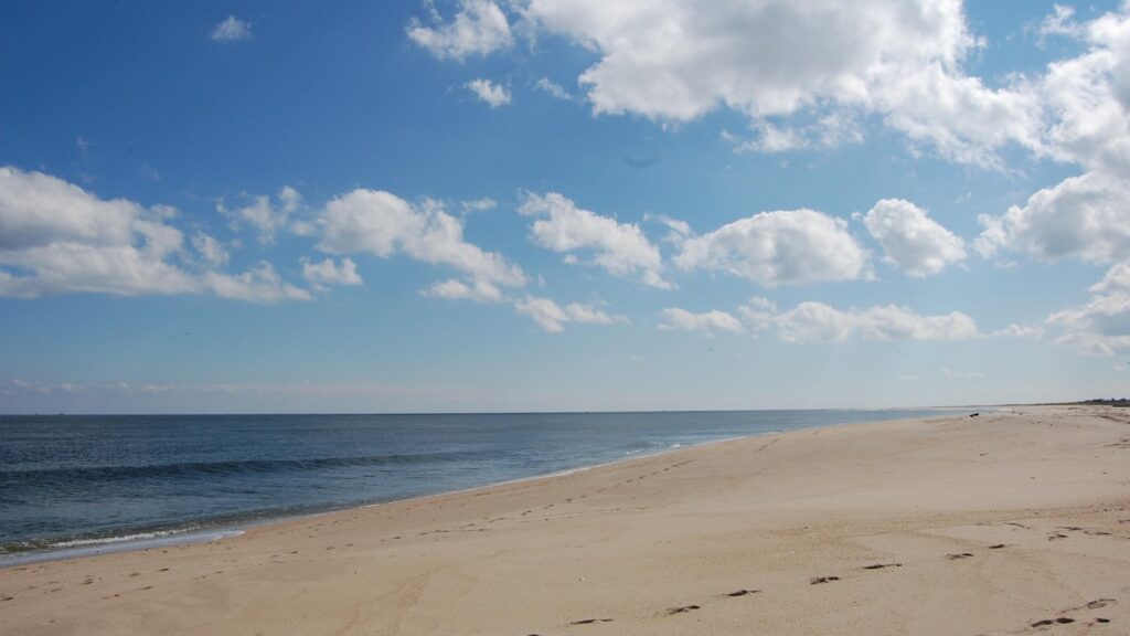 Sandy Hook Beach