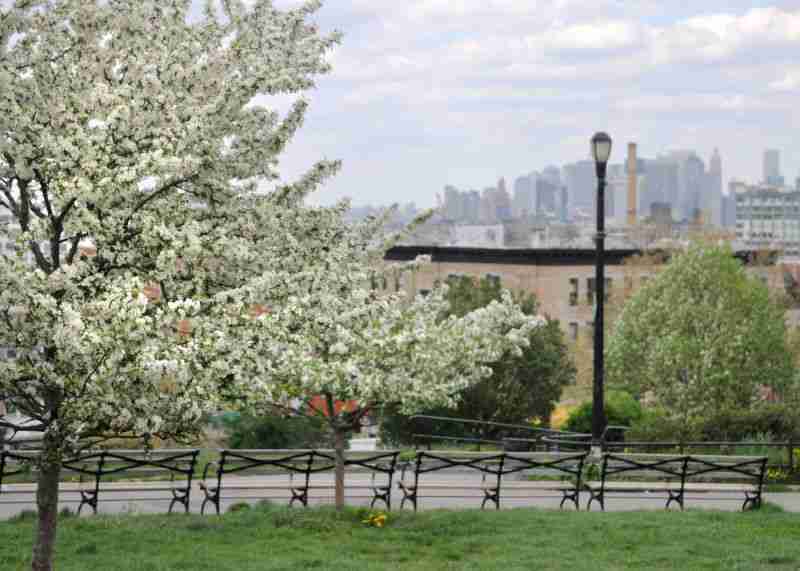 Sunset Park
