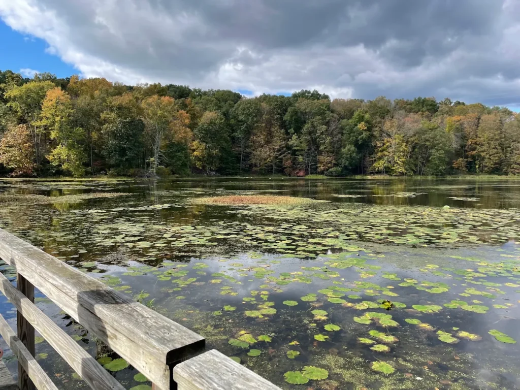 Teatown Lake Reservation