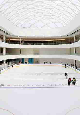 The Rink