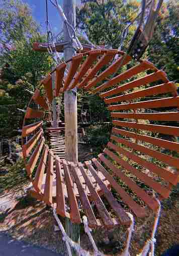 Treetop Adventure Course