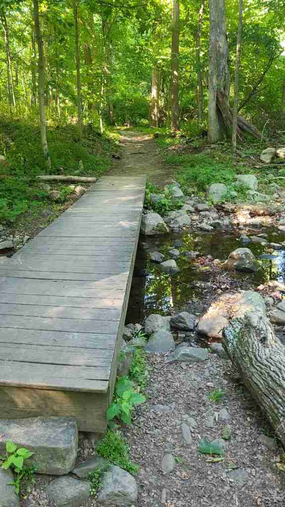 Old Mill Trail