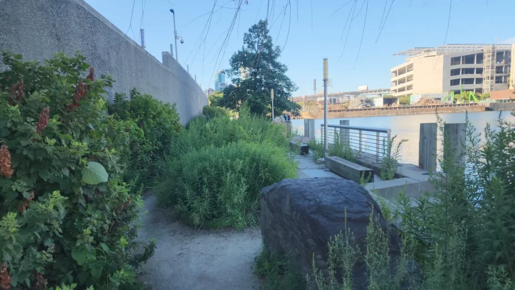 Newtown Creek Nature Walk