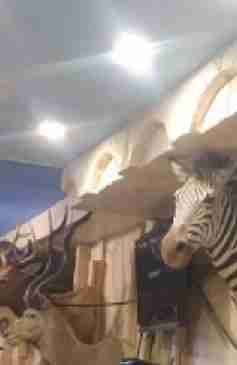 Living Torah Museum