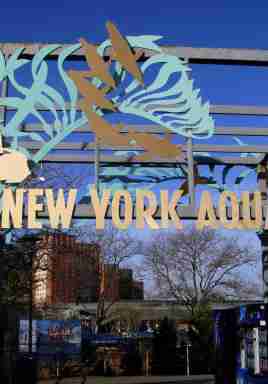 NY Aquarium