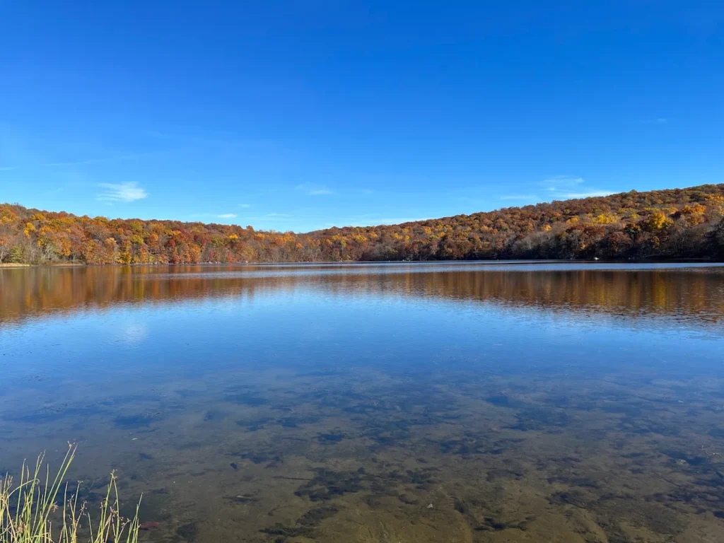 Ringwood State Park