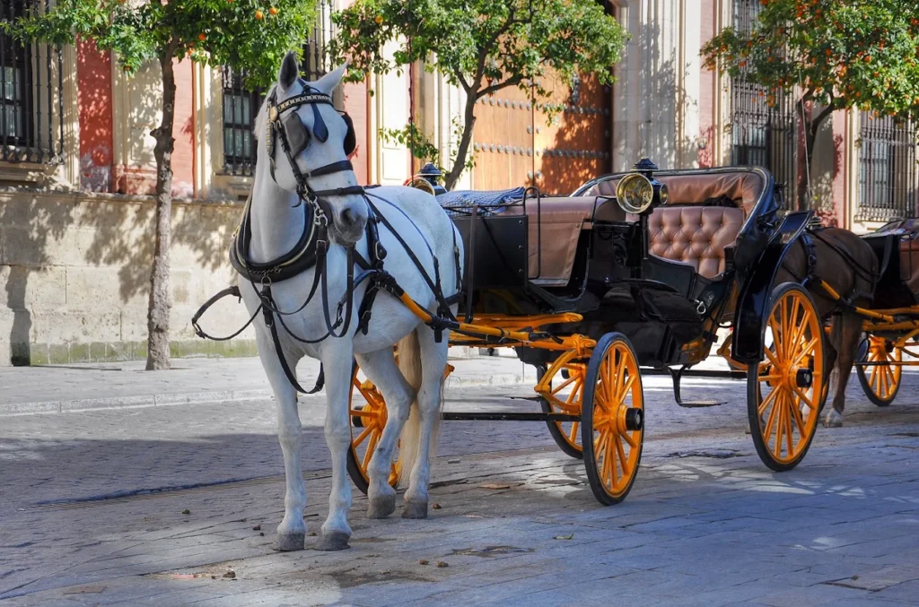 Central Park Carriage